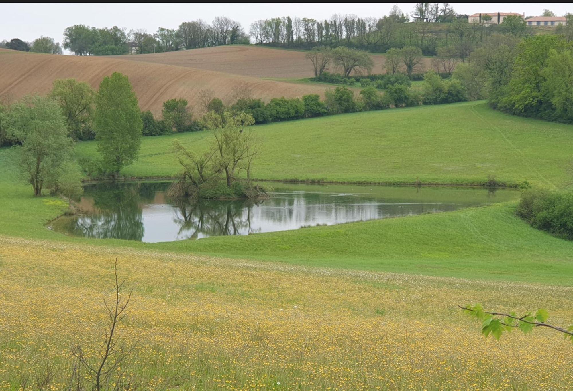 Seuls en Pleine Nature - Gîte la Côte Blanche Puygaillard-de-Quercy Exterior foto